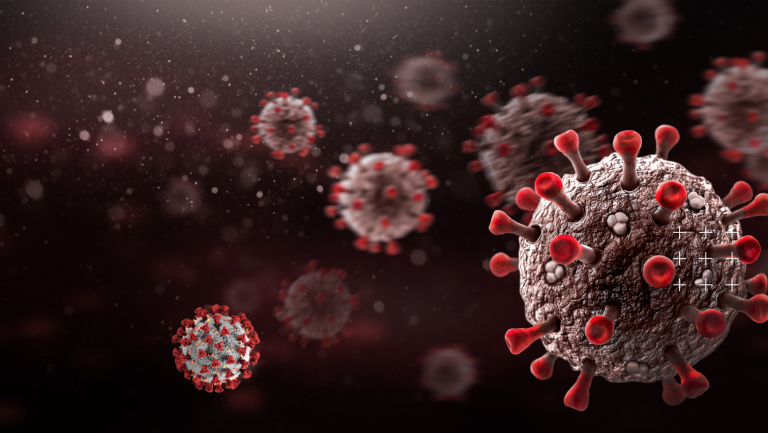 הפעלת עסקים בהתאם ל"תו הירוק" ול"תו הסגול"